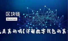 数字钱包是真的吗？详解数字钱包的真相与未来