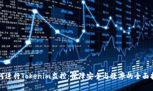 如何进行Tokenim监控：保障安全与效率的全面指南