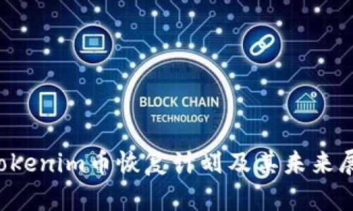  Tokenim币恢复计划及其未来展望