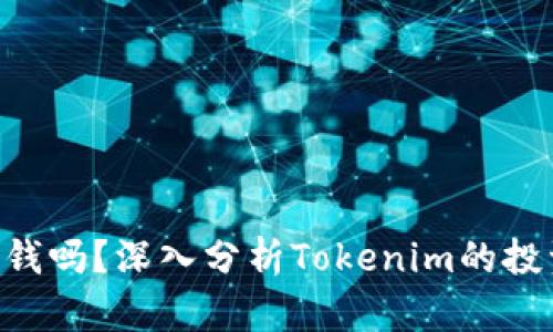 Tokenim能挣钱吗？深入分析Tokenim的投资潜力与风险