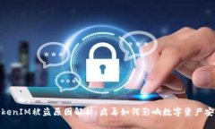 TokenIM被盗原因解析：病毒如何影响数字资产安全