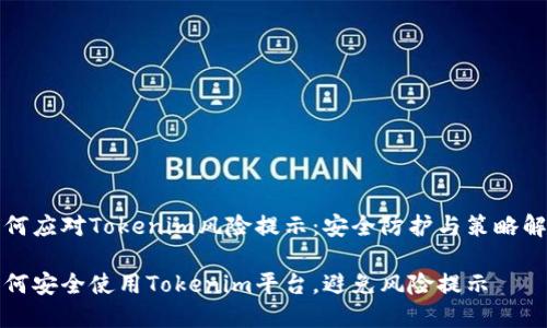 如何应对Tokenim风险提示：安全防护与策略解析

如何安全使用Tokenim平台，避免风险提示