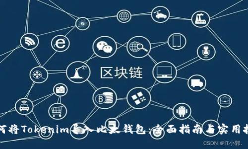 如何将Tokenim导入比太钱包:全面指南与实用技巧