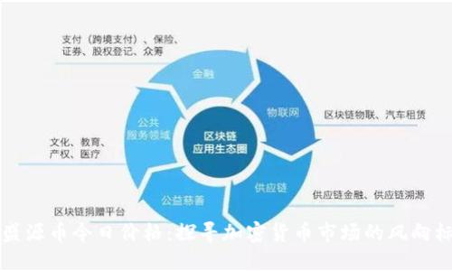盛源币今日价格:探寻加密货币市场的风向标