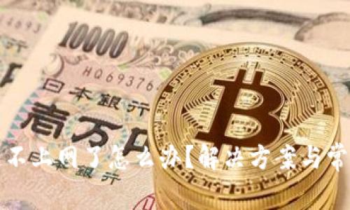 冷链钱包连不上网了怎么办？解决方案与常见问题解析