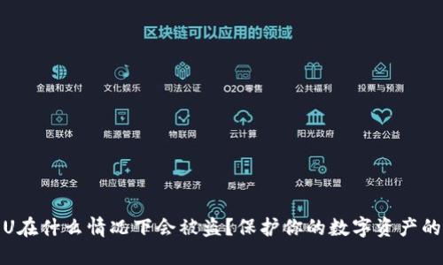 冷钱包的U在什么情况下会被盗？保护你的数字资产的最佳策略