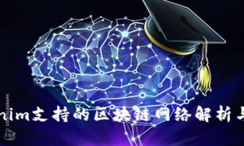 Tokenim支持的区块链网络解析与应用