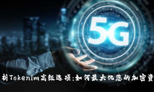 深入解析Tokenim高级选项：如何最大化您的加密资产潜力