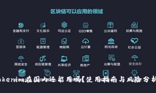 Tokenim在国内还能用吗？使用指南与风险分析 