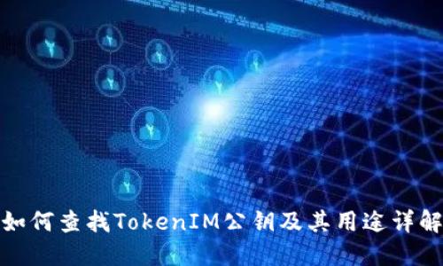 如何查找TokenIM公钥及其用途详解