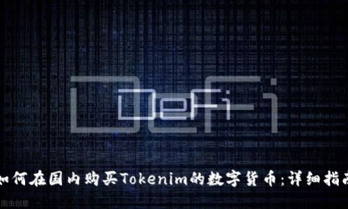 如何在国内购买Tokenim的数字货币：详细指南