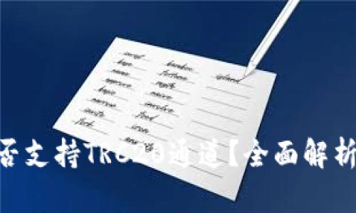 Tokenim是否支持TRC20通道？全面解析及使用指南