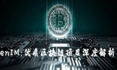 深圳以太坊TokenIM：优质区块链项目深度解析与投