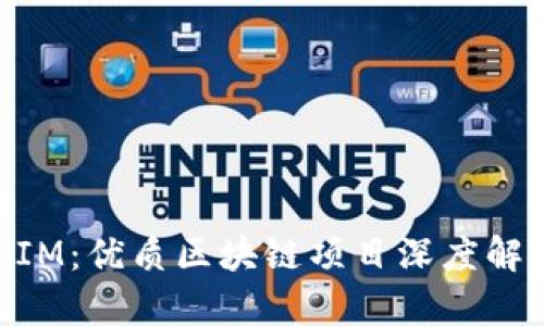 深圳以太坊TokenIM：优质区块链项目深度解析与投资前景展望