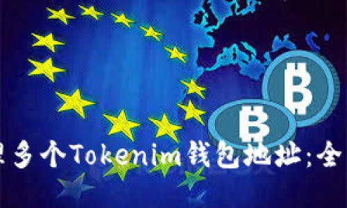 如何管理多个Tokenim钱包地址：全方位指南