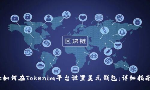 :如何在Tokenim平台设置美元钱包：详细指南
