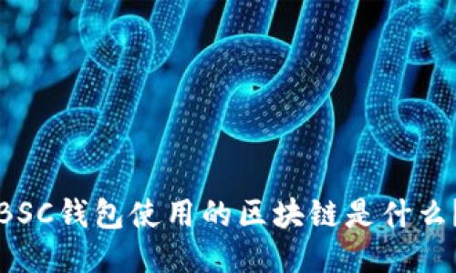 BSC钱包使用的区块链是什么？