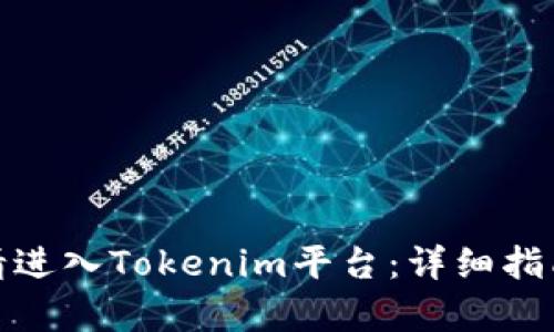 如何申请进入Tokenim平台：详细指南与步骤