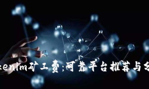 Tokenim矿工费：可靠平台推荐与分析