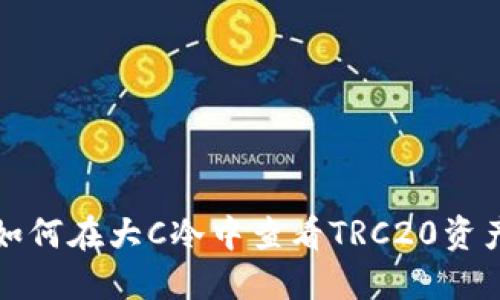 如何在大C冷中查看TRC20资产