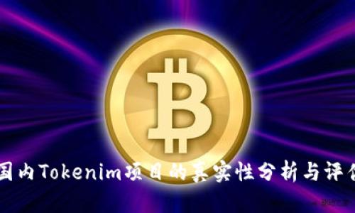 国内Tokenim项目的真实性分析与评估