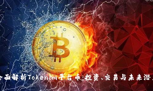 全面解析Tokenim平台币：投资、交易与未来潜力