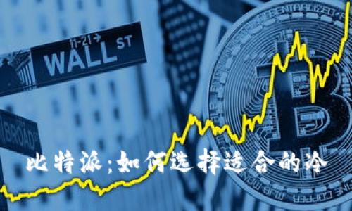 比特派：如何选择适合的冷